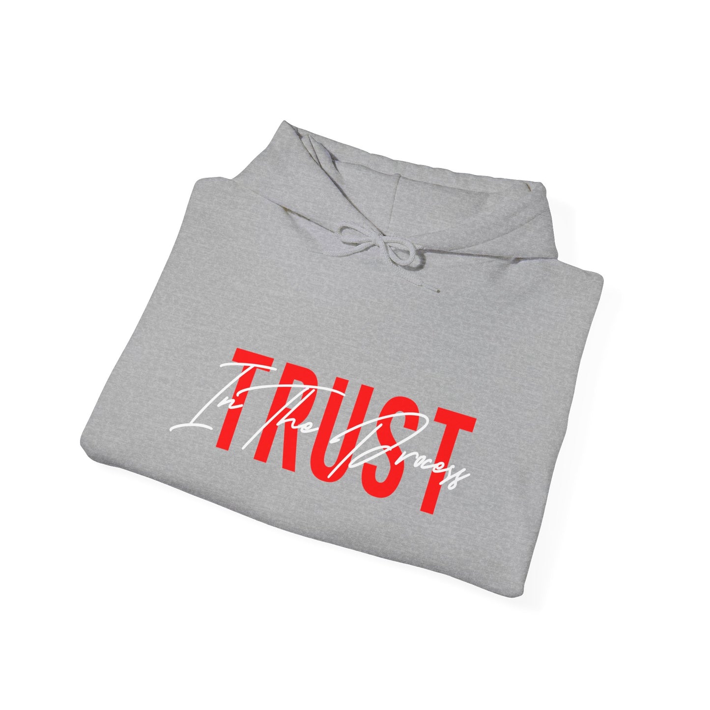 Trust In The Process Hoodie
