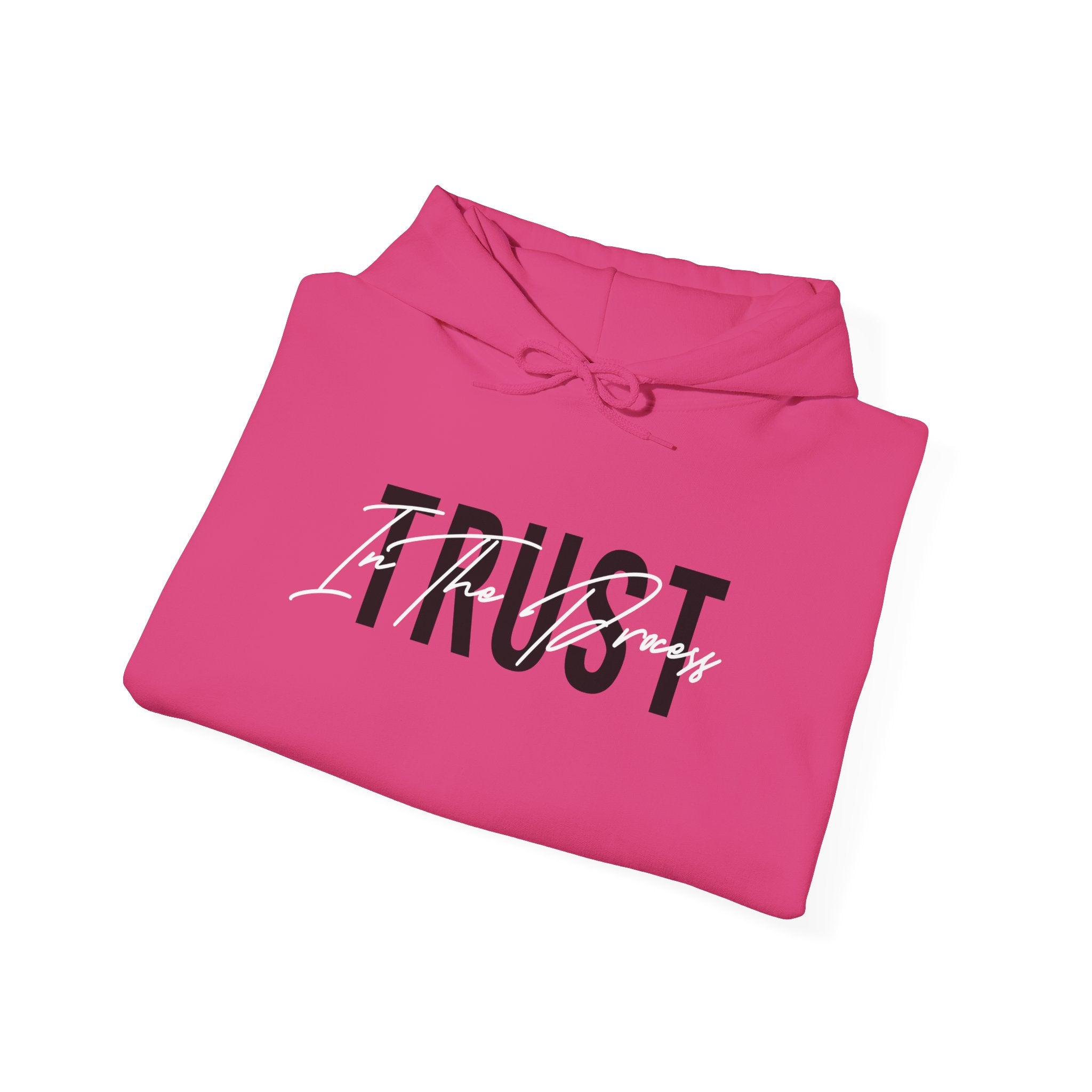 Trust In The Process Hoodie