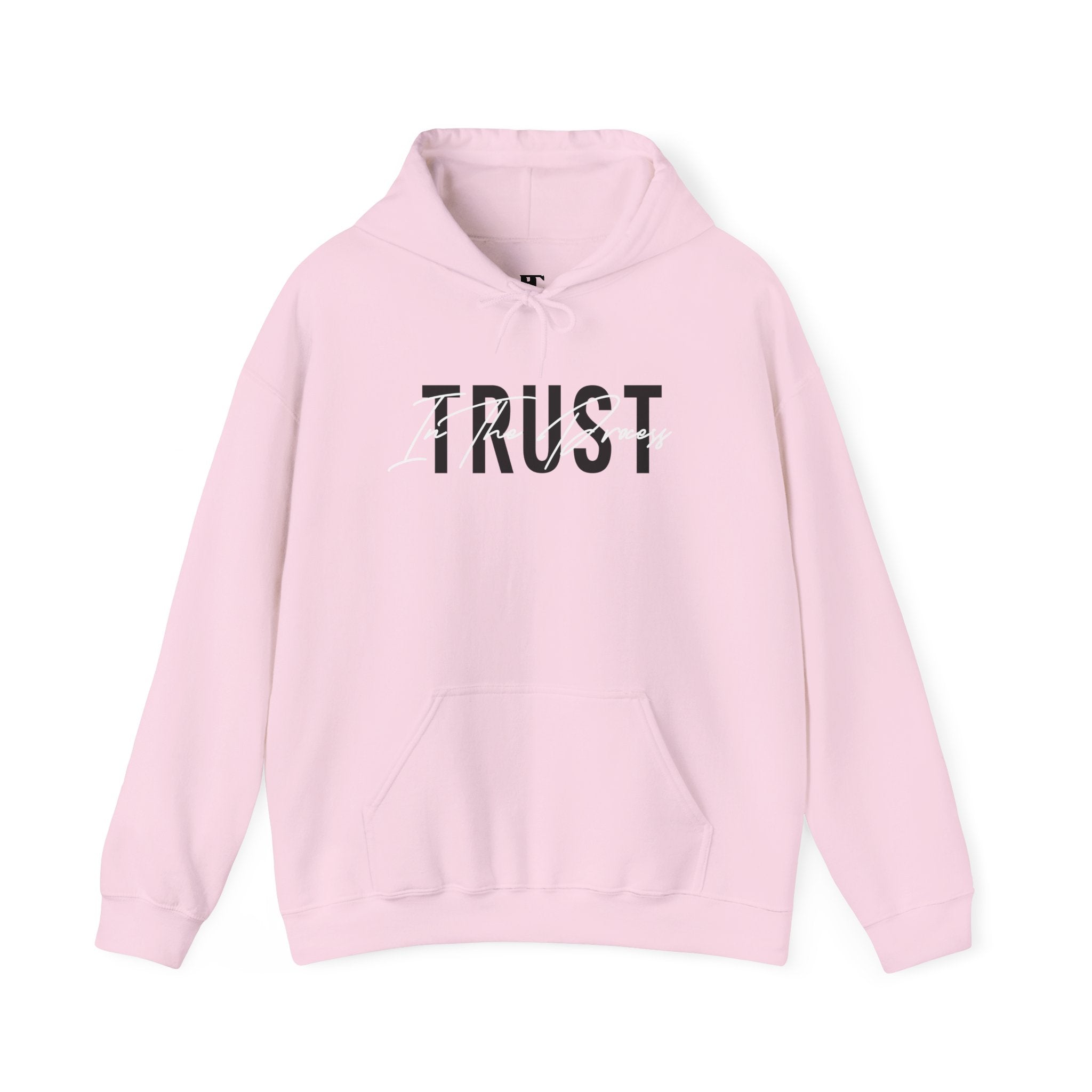 Trust In The Process Hoodie