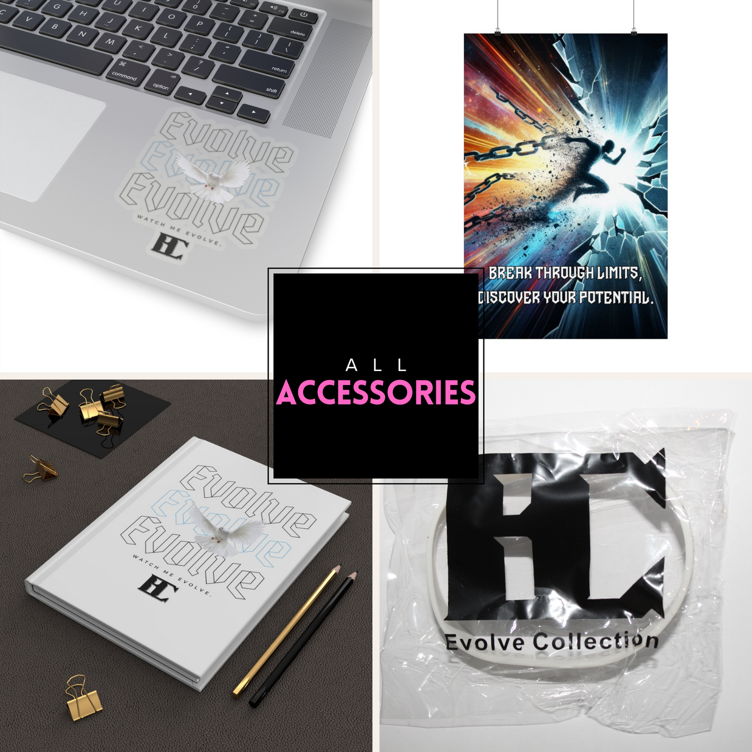 All Accessories
