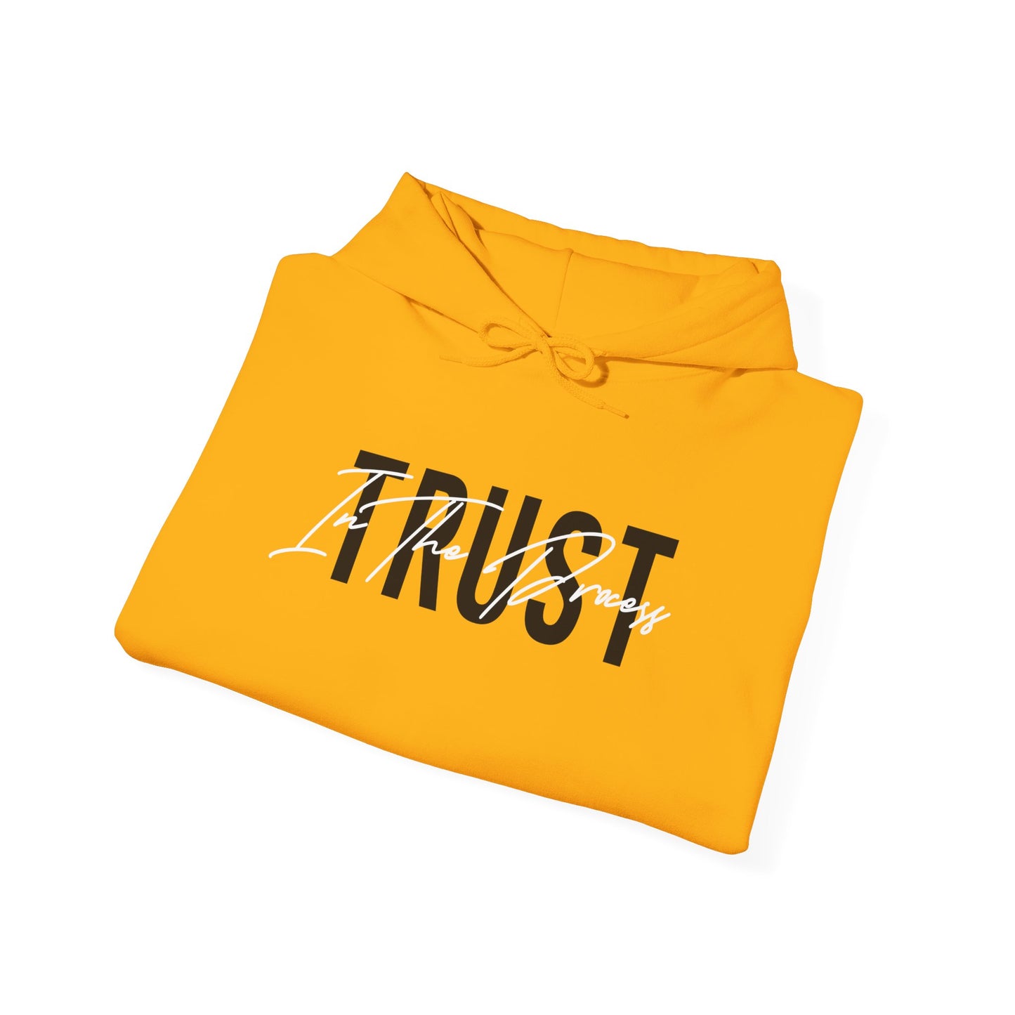 Trust In The Process Hoodie