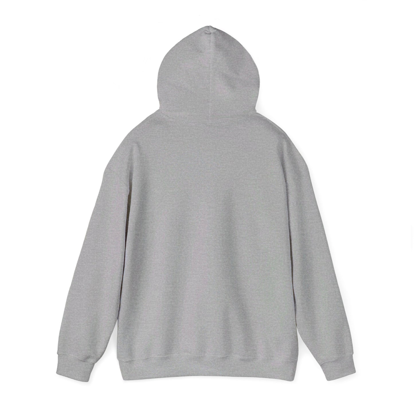 Postal Service Hooded Sweatshirt Style 4