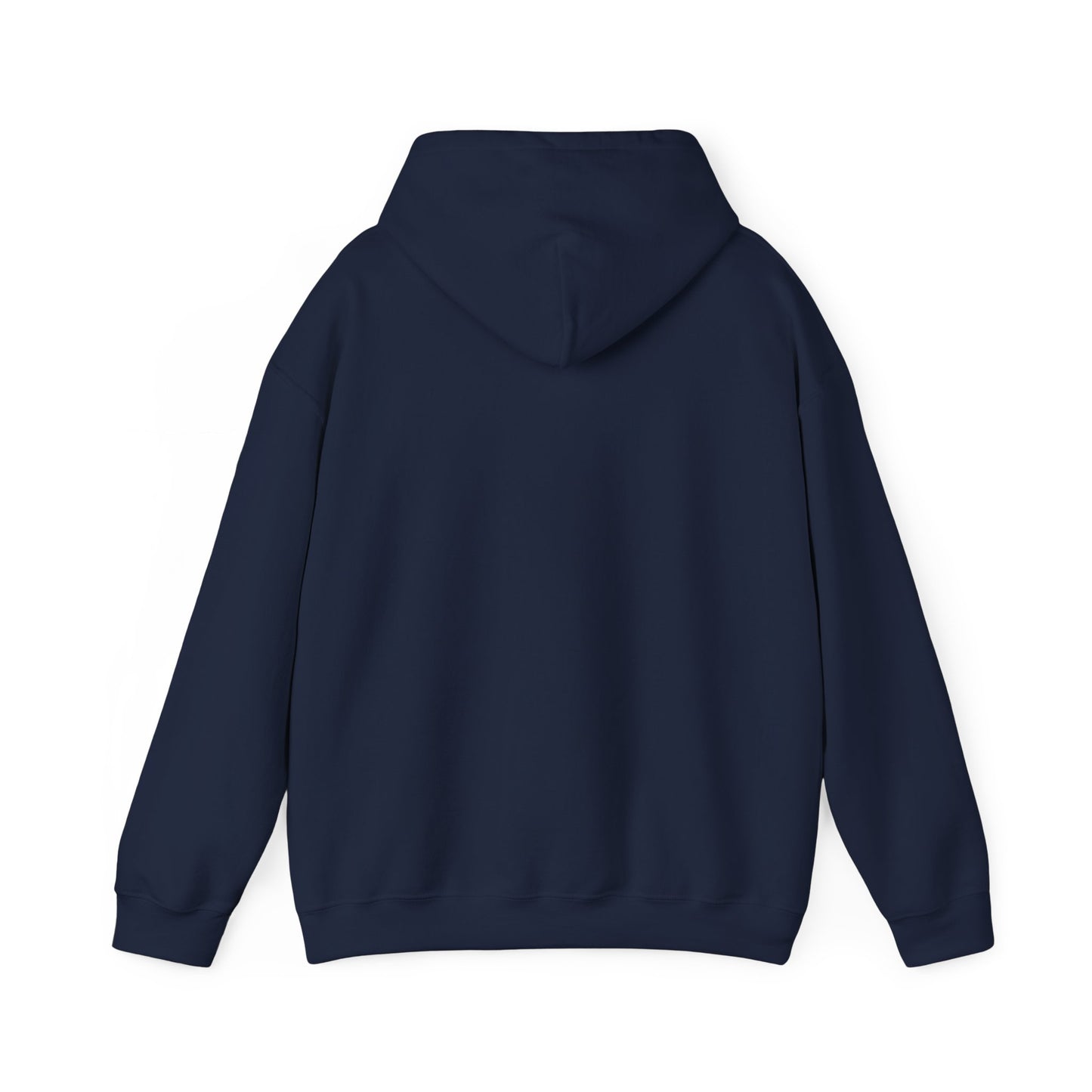 Postal Service Hooded Sweatshirt Style 4