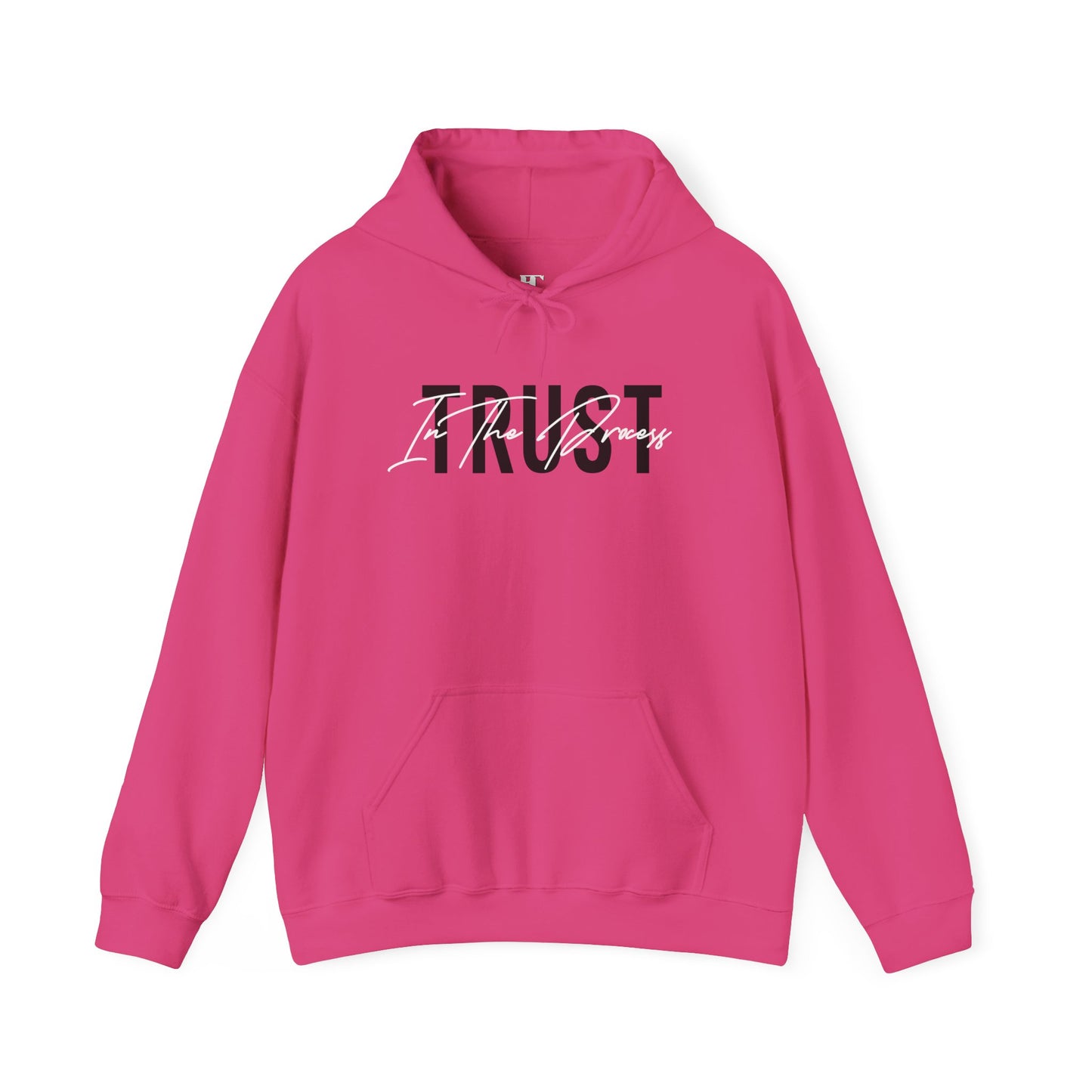 Trust In The Process Hoodie