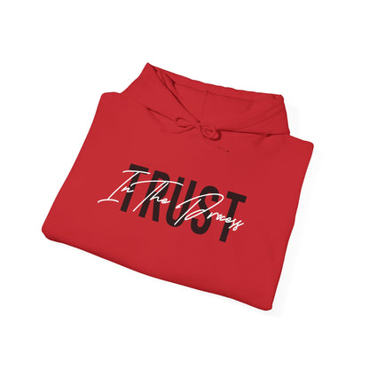 Trust In The Process Hoodie