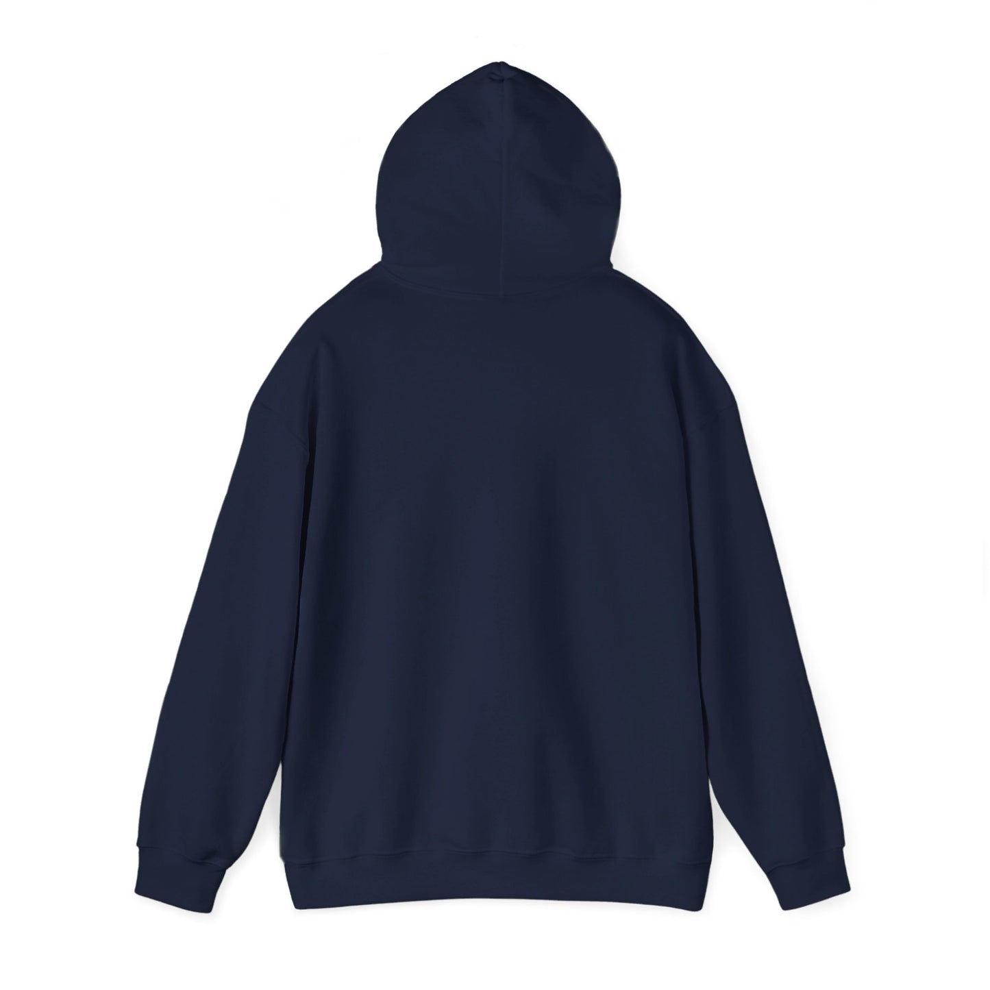 Postal Service Hooded Sweatshirt Style 4