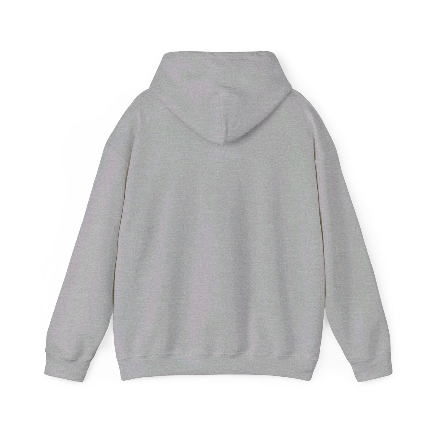 Postal Service Hooded Sweatshirt Style 4