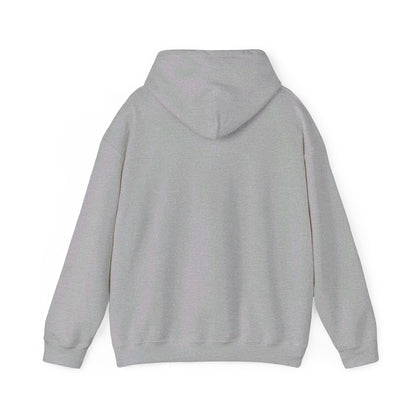 Postal Service Hooded Sweatshirt Style 4