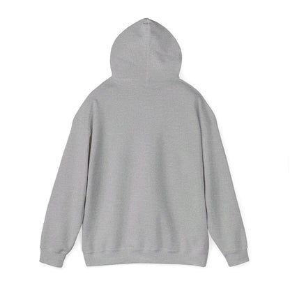 Postal Service Hooded Sweatshirt style 2