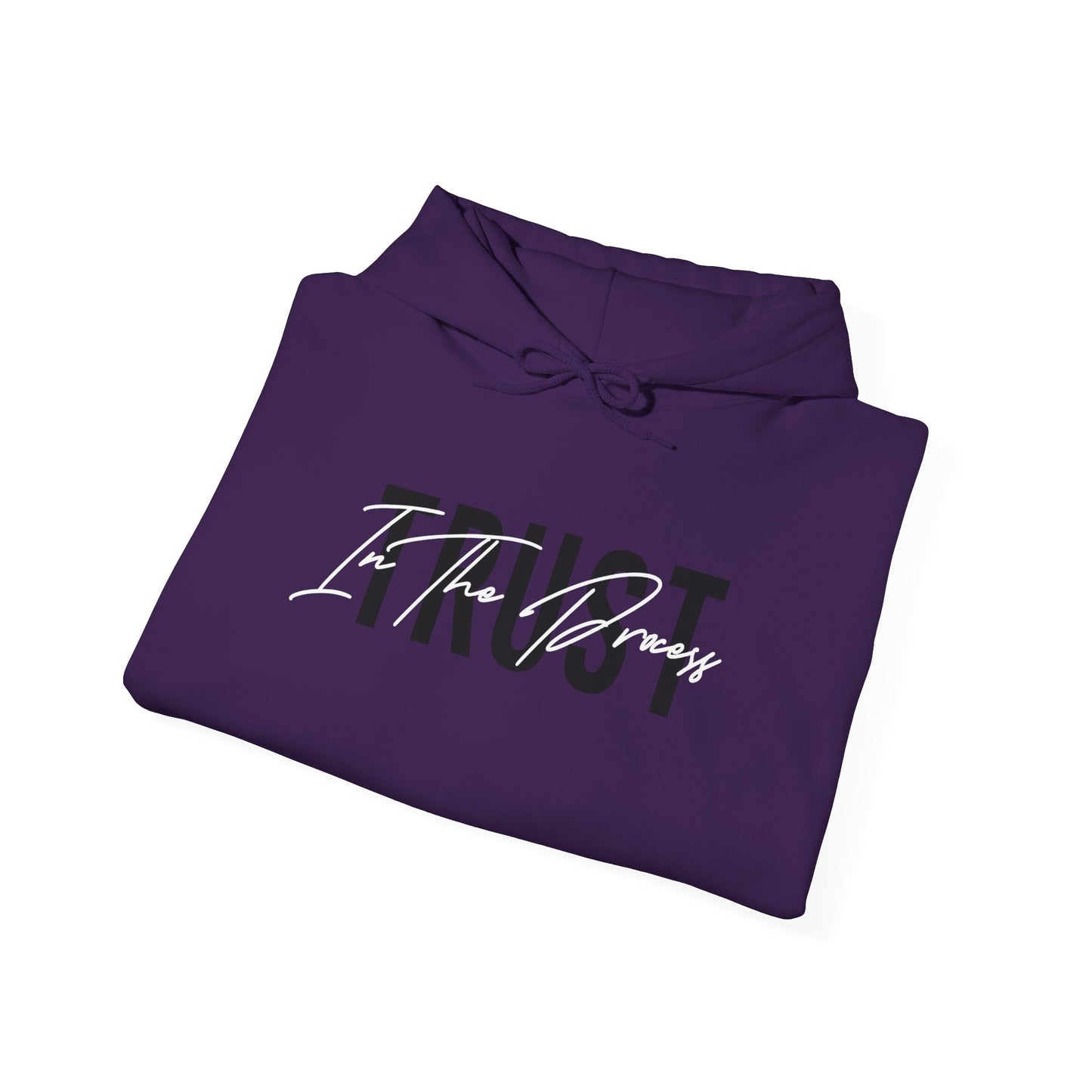 Trust In The Process Hoodie