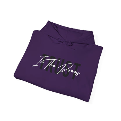 Trust In The Process Hoodie