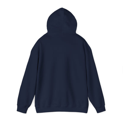 Postal Service Hooded Sweatshirt style 2