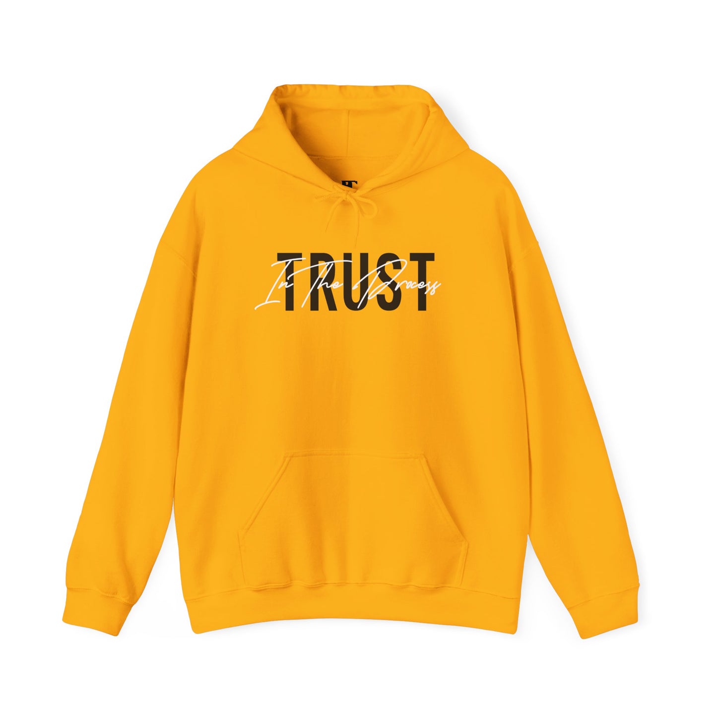 Trust In The Process Hoodie