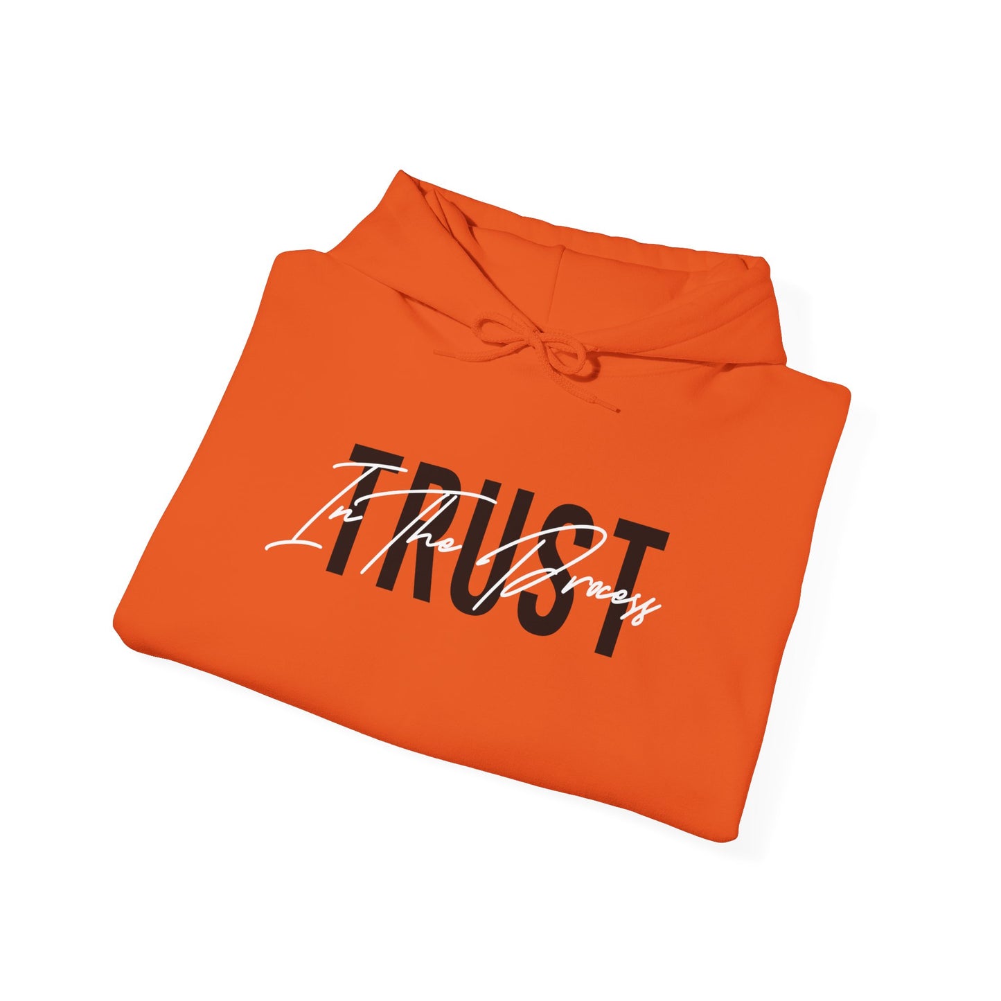 Trust In The Process Hoodie