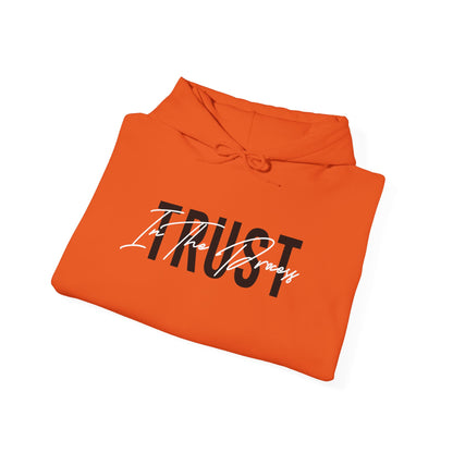 Trust In The Process Hoodie