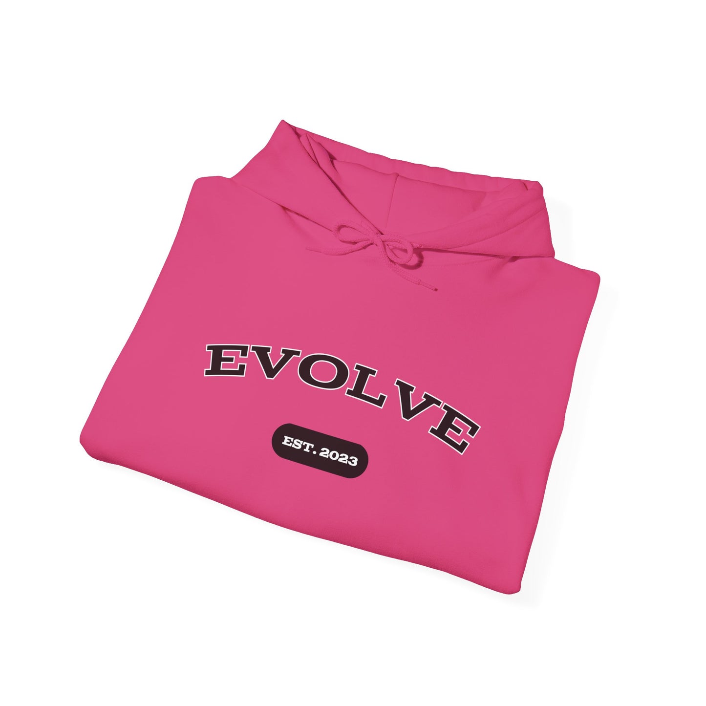 Evolve Est. 2023 Hoodie