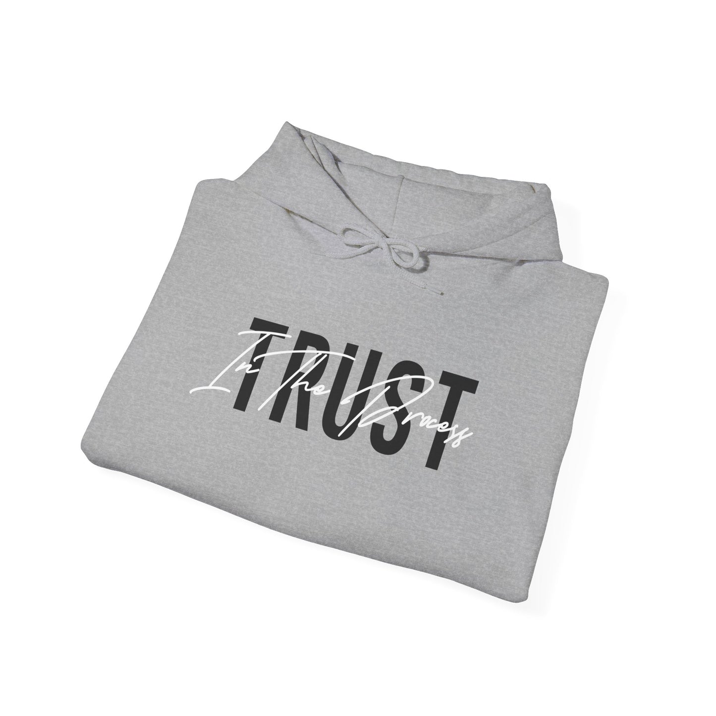 Trust In The Process Hoodie