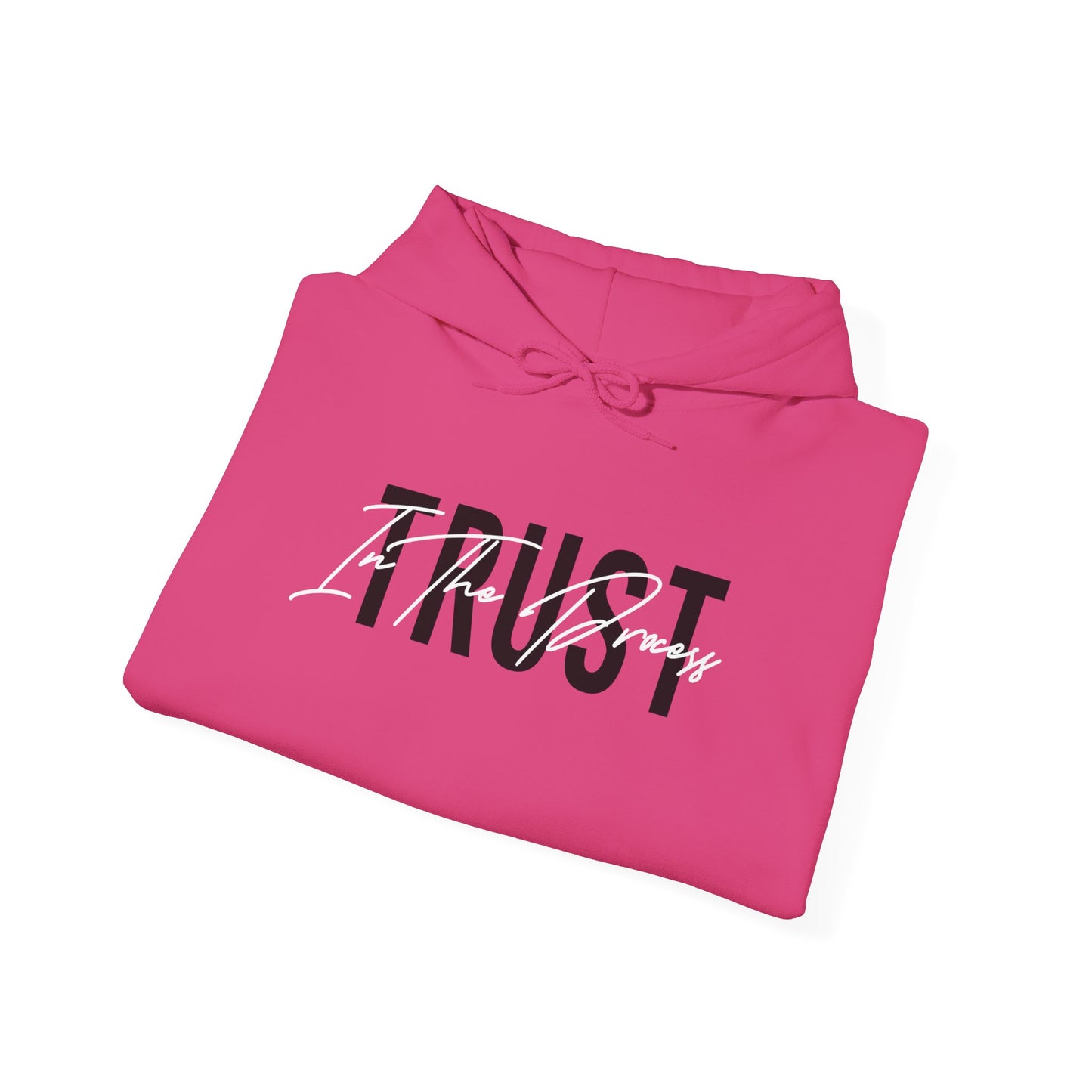 Trust In The Process Hoodie