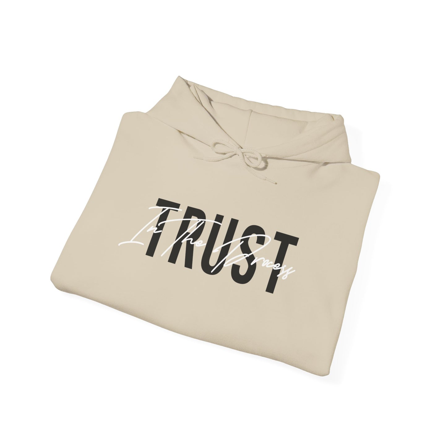 Trust In The Process Hoodie