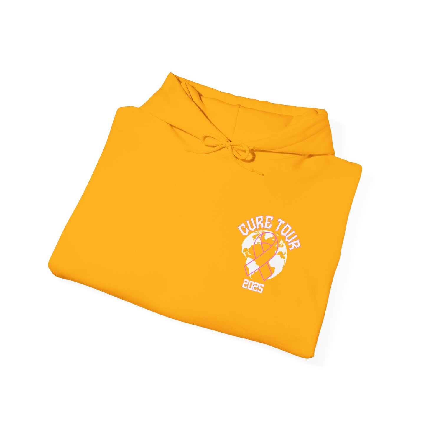Cure Tour 2025 Hoodie