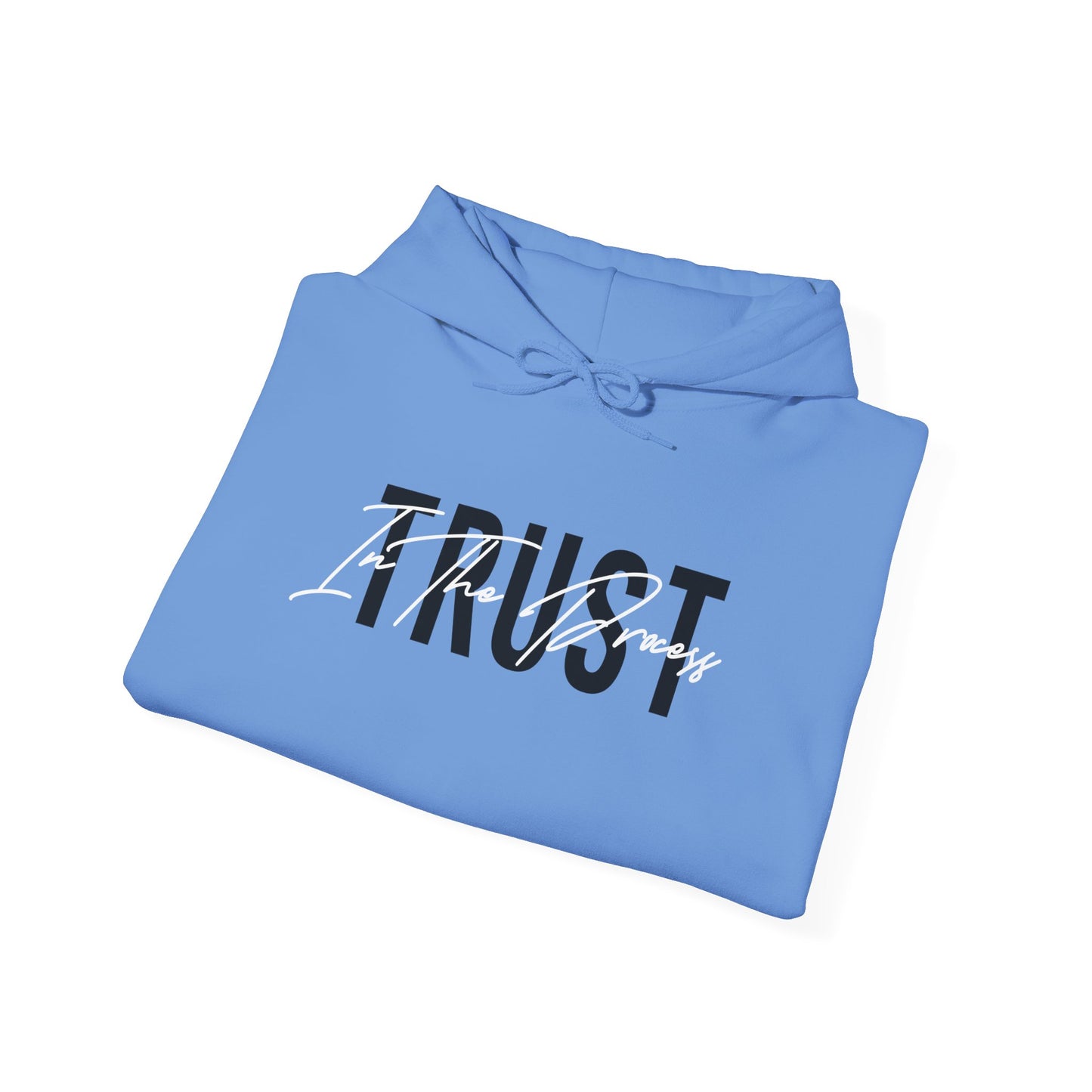 Trust In The Process Hoodie