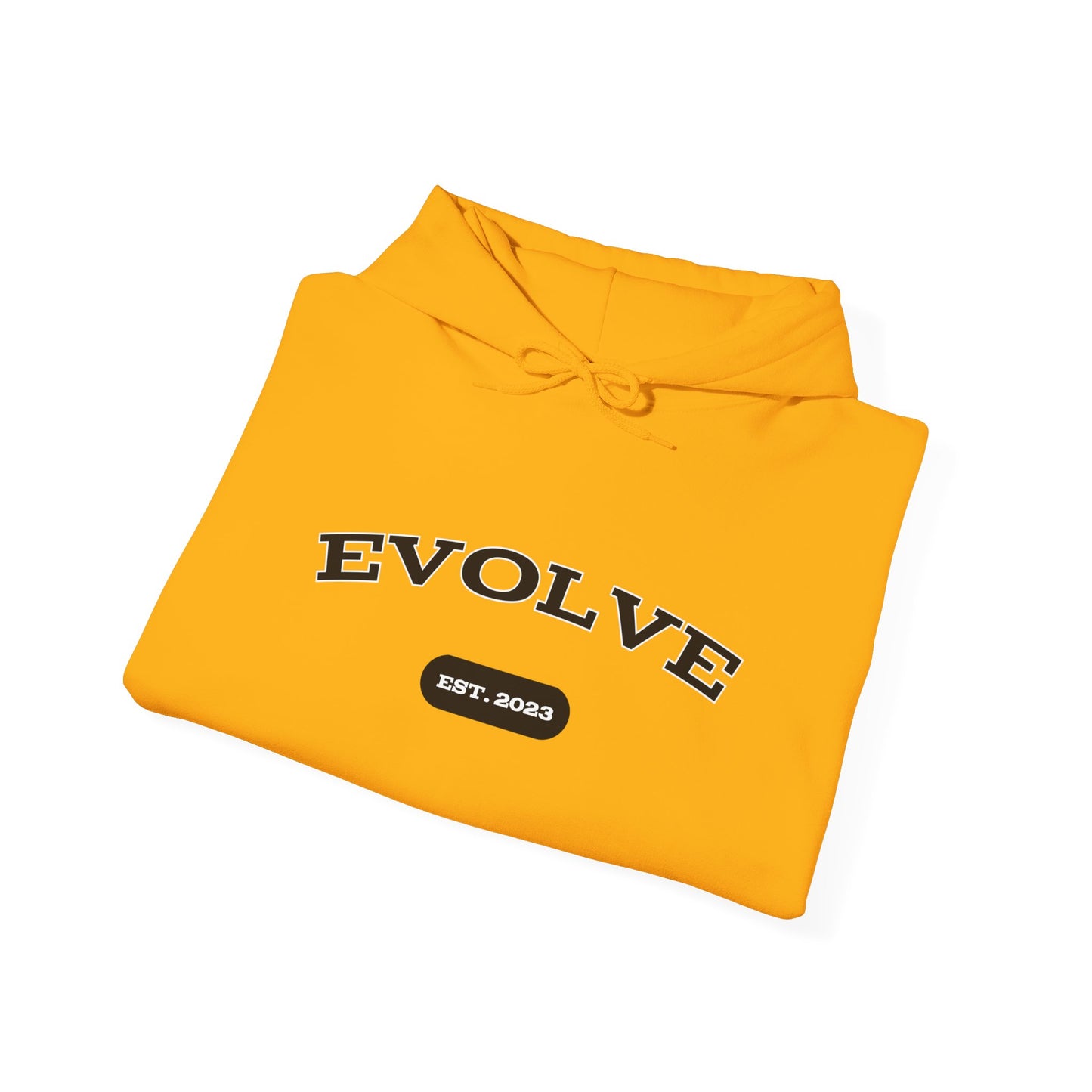 Evolve Est. 2023 Hoodie