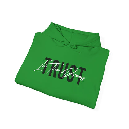 Trust In The Process Hoodie