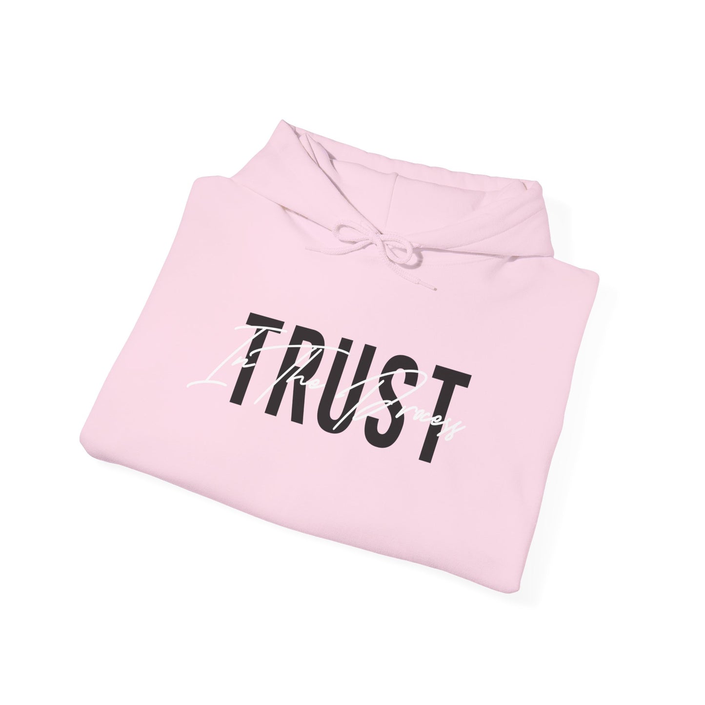 Trust In The Process Hoodie