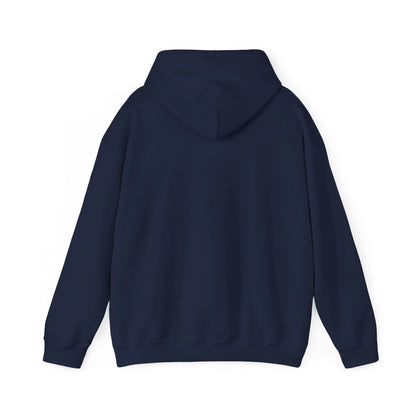 Postal Service Hooded Sweatshirt style 2