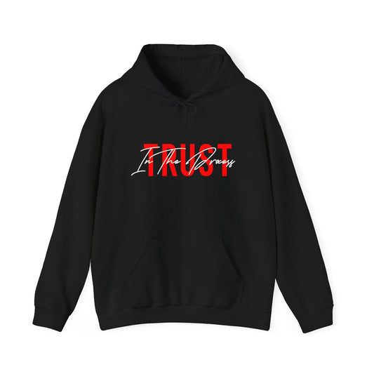 Trust In The Process Hoodie