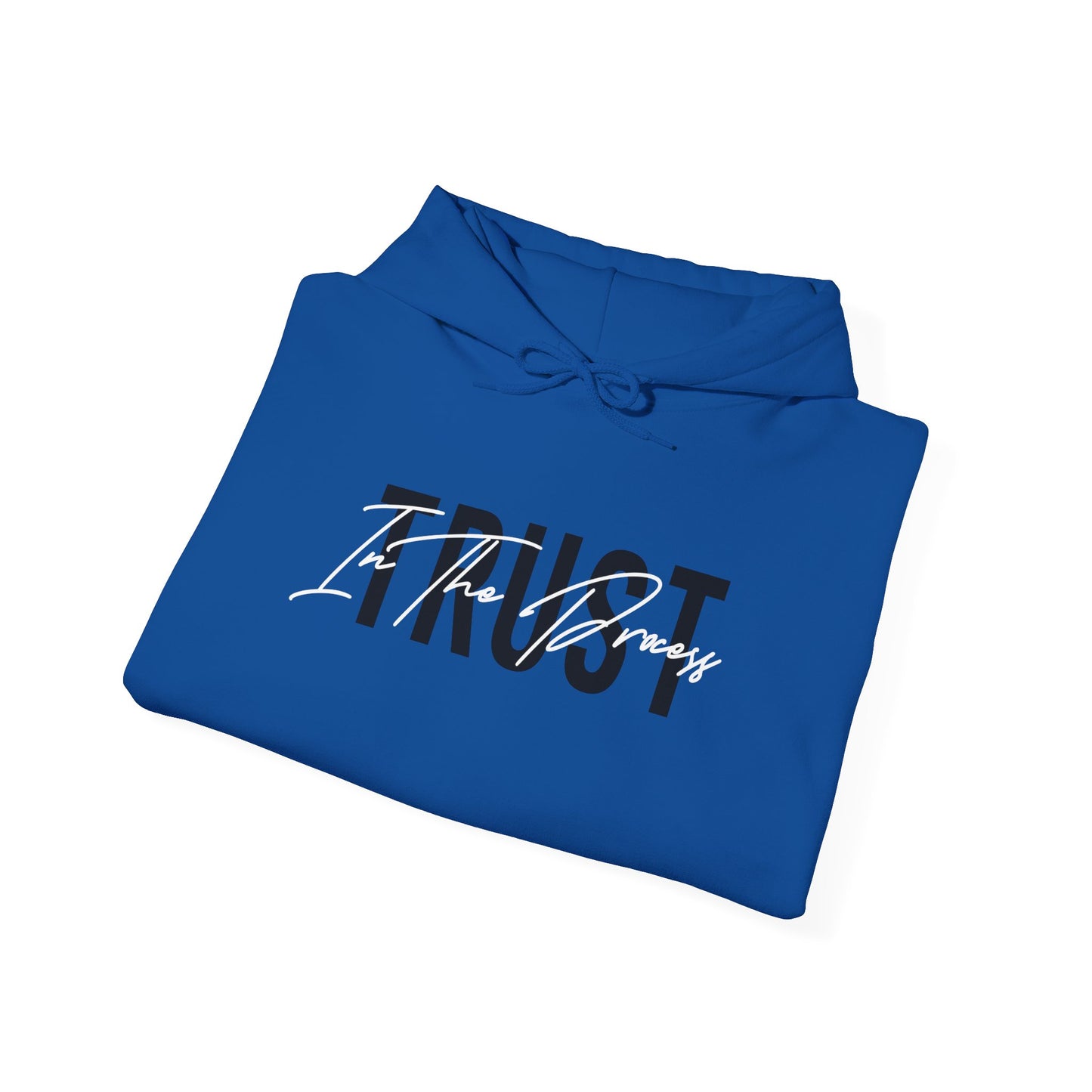 Trust In The Process Hoodie